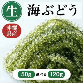 期間限定！120g【200円OFF! 1980円→1780 円】沖縄産　【沖縄直送×大阪仕分け】ぷちぷち極上 海ぶどう 50g/120g 常温保存　無添加 無着色 プチプチ 海藻 食べ切りパック お試し 1000円ポッキリ おつまみ 送料無料 宜野湾 クビレヅタ