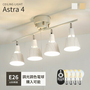 y5Nۏ؁zV[OCg LED F Rt _  k a m Rt4 V[O 6 8 10Ή rO ԃCg Q  䏊 _CjO L 