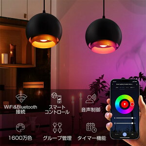 y_gCg _Ng[/|V[O V[Ov LEDdt E26 810LM 60W` Rt Wi-Fi u AlexaΉ Google HomeΉ ݂艺Cg Ɩ 