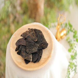 ̃o[W[L[ o[  ̓ WrG W[L[ p Lp  h{ YW[L[ ̂ ̃Ic ʂ  ͂ ̂ lR LW[L