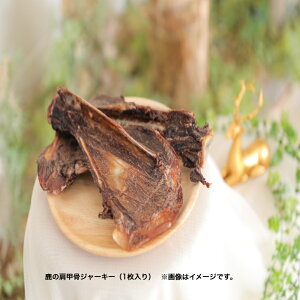  b () 1 ̍  W[L[ Y  ݂ ނ    WrG ̂ W[L[ a W[L[ p  ybg d