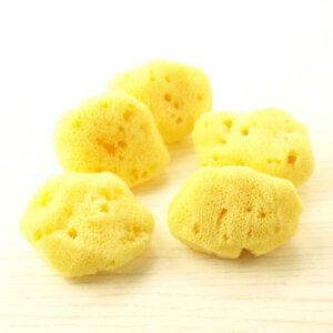 VRC σpt CNX|W C  CN t@f[V 5 nCY C^A