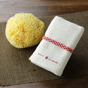 y|Cg2{zCȃX|W C VRC {fBX|W {fB _炩 A VR VRCȃX|W  傫 aaz ڂ XLPA vvD ^I Ka I[Kj