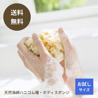 海綿スポンジ 海綿 天然海綿 お試し ボディスポンジ ボディ 柔らかい 天然 ハニコム種 地中海産 送料無料…