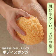 海綿スポンジ 海綿 天然 ボディ 大きい 大 ボディスポンジ スポンジ 柔らかい 送料無料 最強翌日配送 高…
