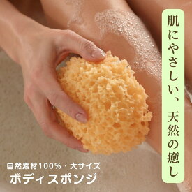 【期間中300円OFFクーポンあり】海綿スポンジ 大きい 海綿 大 ボディスポンジ スポンジ 柔らかい 肌に優しい 高級 泡立ち 地中海産 送料無料 翌日配送 赤ちゃん ボディ スキンケア 介護 背中 子供 デリケートゾーン 洗い