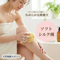 「稀少な天然海綿ソフトシルク種のボディスポンジ」 皮膚の老廃物をしっかりと洗い落とすことにすぐれた…