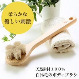 浅草アートブラシ ボディブラシ 送料無料 最強翌日配送 白馬毛 さくら クレオパトラ 柔らかい 日本製 正規品 職人 NHK 探検ファクトリー 放映（2026年1月24日）