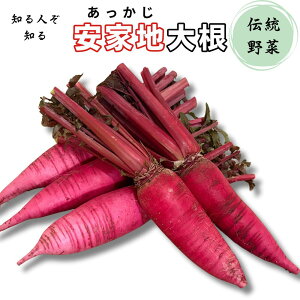 yƒn卪z茧̓`؁@h卪 Y ̔MH