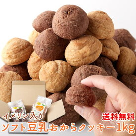 【送料無料】イヌリン入豆乳おからクッキー 500g×2 小分け | チョコ チョコレート オレンジ みかん 豆乳 おから オカラクッキー 大量 お菓子 洋菓子 おやつ 焼菓子 菊芋 クッキー 一口サイズ 大容量 お徳用 食物繊維 保存料不使用 豆乳クッキー スイーツ デザート ギフト