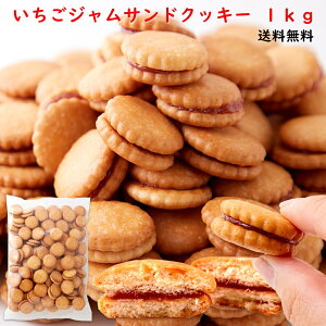 yz䕃WThNbL[ 500g×2 | C`S  t[c ʕ W NbL[ rXPbg TCY mَq َq Ăَq  p p e  󂠂 PA