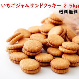 訳あり ビスケットの人気商品 通販 価格比較 価格 Com