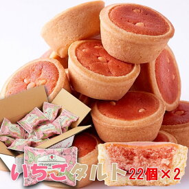 【送料無料】いちごタルト 22個×2 個包装 | 洋菓子 お菓子 苺 タルト おやつ いちご とちおとめ ストロベリー ホワイトチョコ お徳用 大容量 贈答用 ギフト 文化祭 手土産 タルトケーキ 焼き菓子 業務用 お配り用 景品 ギフト プレゼント バレンタイン ホワイトデー ガトー