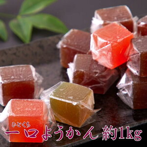 yz悤 500g×2  | 悤 r r aَq   q XC[c َq TCY p e  p lߍ킹 Zbg v`Mtg  