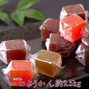 yz悤 500g×5  | 悤 r r aَq   q XC[c َq TCY p e  p lߍ킹 Zbg v`Mtg  