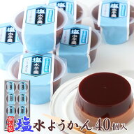 【送料無料】塩水ようかん 8個×5 | 和菓子 お菓子 スイーツ おやつ 老舗 夏 冷たい ようかん ギフト 暑…