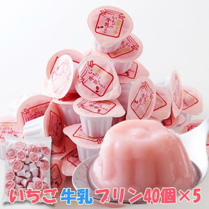 yzЂƂv 40×5  | Z v   C`S v v` XC[c fU[g TCY  mَq َq p p e  N