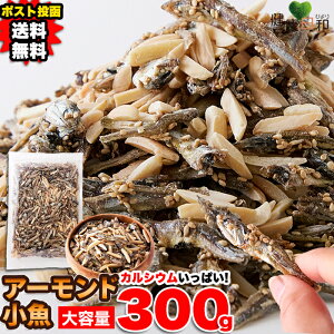 y2025/12/4ܖzA[h 300g Y킵 | A[htBbV ibc  킵 َq  H  َq   ܂ ԐH H ۊǐH JVE e 