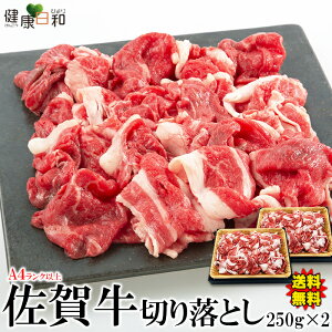 yzꋍ A4Nȏ ؂藎Ƃ 500g  ꌧ | o    uh ꋍ ~ јa a A4 Ԑg  Hi  Ⴊ uߕ O   