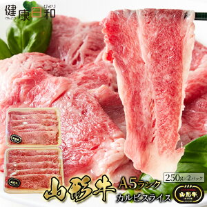 yzR` A5N JrXCX 500g  250g×2pbN | uh  R`  Hi  O Jr  Ⓚ Yi oXCX ē BBQ Lv  