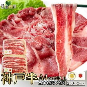 yz_ˋ A5Nȏ JrXCX 500g  250g×2 Ⓚ | uh Jr _ _˃r[t r[t Y  Hi  񂹃O  Oa  uߕ 