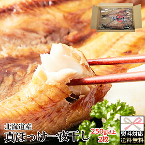 ŷΉzkCY ^ق 銱  250g×2 | ق 卪낵 ݖ || Hi Y kC J ӂ  銱 j 蕨 Ε  l y 