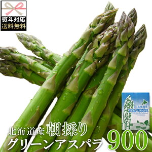 yzO[AXp L`2L 900g Ԍ | AXpKX kC Yn j   AXp VN {   ٓ  x[R BBQ  ǂ e 