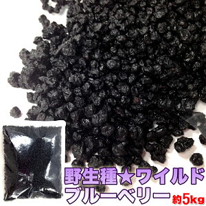 yzChu[x[ 1kg×5 AJY | 쐶 hCt[c hCu[x[ |tFm[ XC[c fU[g  t[c X[W[ ʕ t[c َq