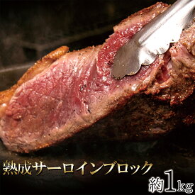 楽天市場 バーベキュー 肉 ブロックの通販