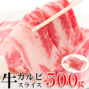 JrXCX500g | Jr XCX  Ԑg o ē  BBQ o[xL[ AEghA Lv Cxg Ⓚ ܂ ӎ ̂ ̍ r[ { C Hi O