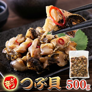 YshԊL 500g | 󐆂d Ðh OY e Ⓚ CY L ܂ ̍ BBQ p[eB[ Cxg AW t ̍ ͂̂  Ɩp Hi  ̓