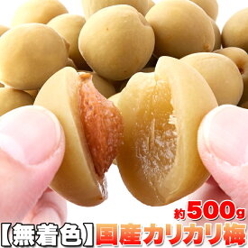 カリカリ梅 500g 無着色 国産 個包装 | お菓子 おつまみ 梅 塩分 カリカリ梅 梅干し うめ うめぼし 肉厚 カリ梅 果肉 個包装 おやつ 国内産 すっぱい さっぱり 塩分補給 熱中症対策 キャンプ 業務用 お徳用 得用 料理 アレンジ 買い回り 買いまわり ギフト 贈答用