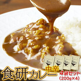 【送料無料ポスト投函Y】食研カレー 4食 200g×4袋 中辛 小分け | レトルト スパイスカレー カレーライス カレー カレールー 本格的 簡単調理 湯せん レンチン ギフト レトルト アレンジ 単身 得用 食品 お取り寄せ 惣菜 便利 ポイント消化 買いまわり 買い回り