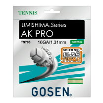 楽天市場】ゴーセン ak pro 1.31の通販