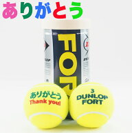 テニスボール オリジナル「ありがとう」ボール フォート 1缶(2球入)| プレゼント ギフト 記念品 ラッピン…