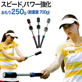 テニス素振り専用トレーニング器具 パワーストローク (パワーアップ・ダブルハンド用)おもり250g/総重量700g[硬式テニス用](TPS-N56R/TPS-N56B/NTPS-56)|テニス 練習器具 テニス用品 テニスグッズ 練習 硬式 プレゼント 練習用 一人 トレーニング サーブ 器具 スイング
