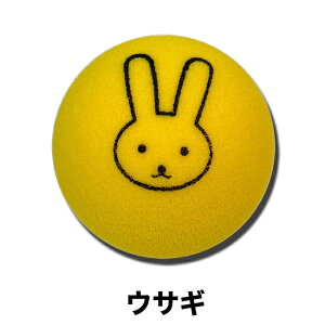 X|W{[  EBjOVbg ejX WjA LbY| X|W {[ ejXK q ǂ K ObY ejXObY v[g ̎ g[jO ejX{[