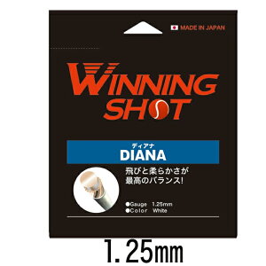 EBjOVbg(WinningShot)fBAi P[Q[W:1.25mm/1.30mm]DIANA[M 1/2]|Kbg XgO iC ejX Pbg ejXObY ejXKbg ejXpi v[g d ObY e