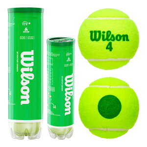 �E�C���\�� Wilson �e�j�X�{�[�� �X�^�[�^�[�E�v���[�E�{�[�� �m���v���b�V���[�i4������j WRT137400