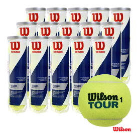 ウイルソン Wilson テニスボール TOUR STANDARD（ツアー・スタンダード）4球入 1箱（15缶/60球） WRT103800