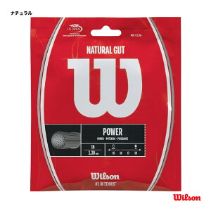 �E�C���\�� Wilson �e�j�X�K�b�g �P���� �i�`�������K�b�g16�iNATURAL GUT 16�j 130 �i�`������ WRZ999800