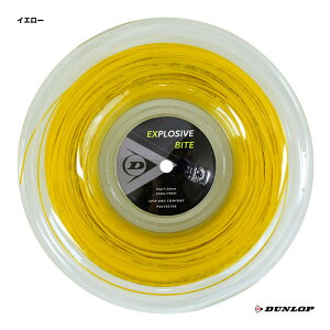 _bv DUNLOP ejXKbg [ GNXvbVuEoCgiExplosive Bitej 132 CG[ DST12011i132yj
