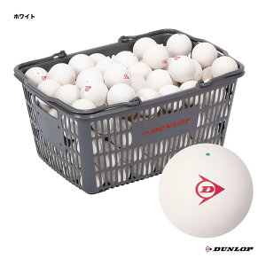 _bv DUNLOP \tgejX{[ F 10_[XoXPbg [U[l[Ώ DSTBAON2CS120