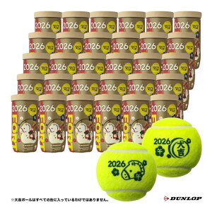 �_�����b�v DUNLOP �e�j�X�{�[�� DUNLOP FORT�i�_�����b�v�E�t�H�[�g�j�u���x�v�{�[�� 2026�N �� 2���� 1���i30��/60���j DFF26ETOYL2CS60