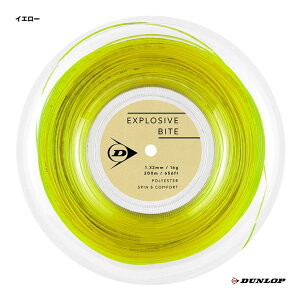 _bv DUNLOP ejXKbg [ GNXvbVuEoCgiEXPLOSIVE BITEj 132 CG[ DSTA12011i132yj