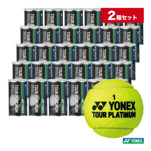 lbNX YONEX ejX{[ TOUR PLATINUMicA[v`ij 2 2i60/120j TB-TPL2