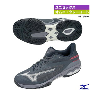ミズノ MIZUNO テニスシューズ ユニセックス ウエーブエクシードコート ワイド OC 61GB251805
