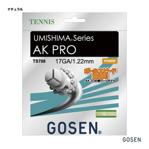 �S�[�Z�� GOSEN �e�j�X�K�b�g �P���� �E�~�V�} AK�v�� 17�iUMISHIMA AK PRO 17�j 122 �i�`������ TS708