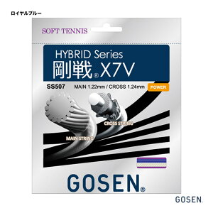 S[Z GOSEN Kbg \tgejXp P X 7V 122×124 Cu[ SS507
