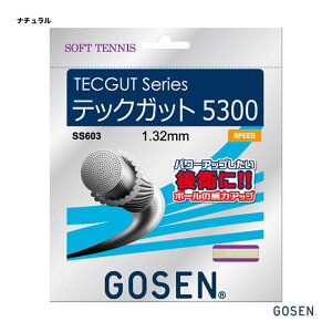 S[Z GOSEN Kbg \tgejXp P ebNKbg ebNKbg5300iTECGUT TECGUT5300j 132 i` SS603